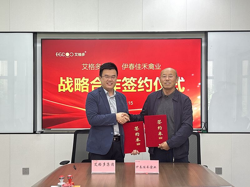 強(qiáng)強(qiáng)聯(lián)合，共筑蛋雞產(chǎn)業(yè)新篇章：艾格多集團(tuán)與佳禾禽業(yè)簽署戰(zhàn)略合作協(xié)議